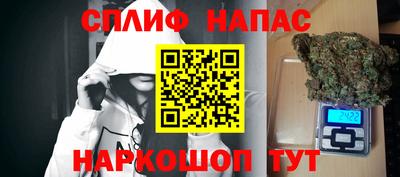сатива Лесосибирск