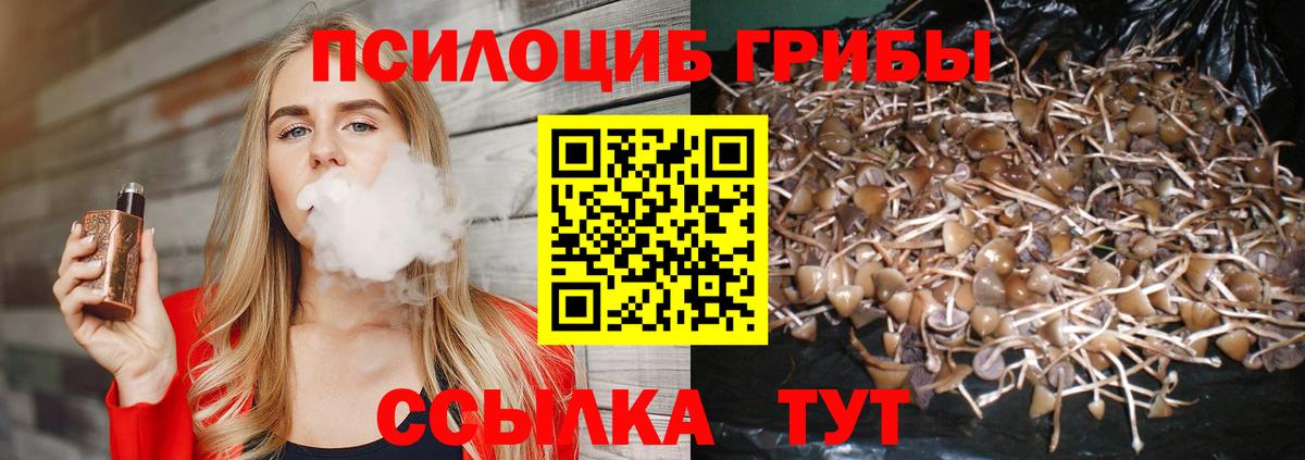 Старый Оскол  Галлюциногенные грибы мицелий  Вход с VPN  Псилоцибиновые грибы мухоморы 
